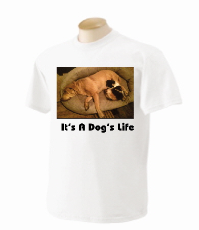 dog 1 dog 1