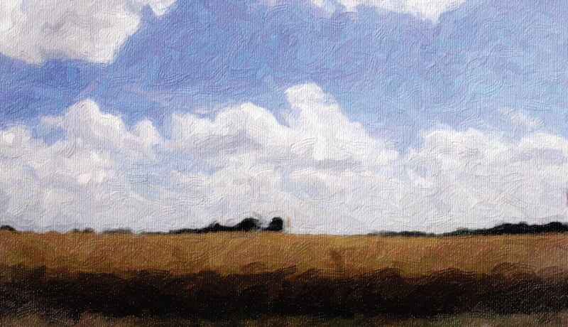 wheat wheat